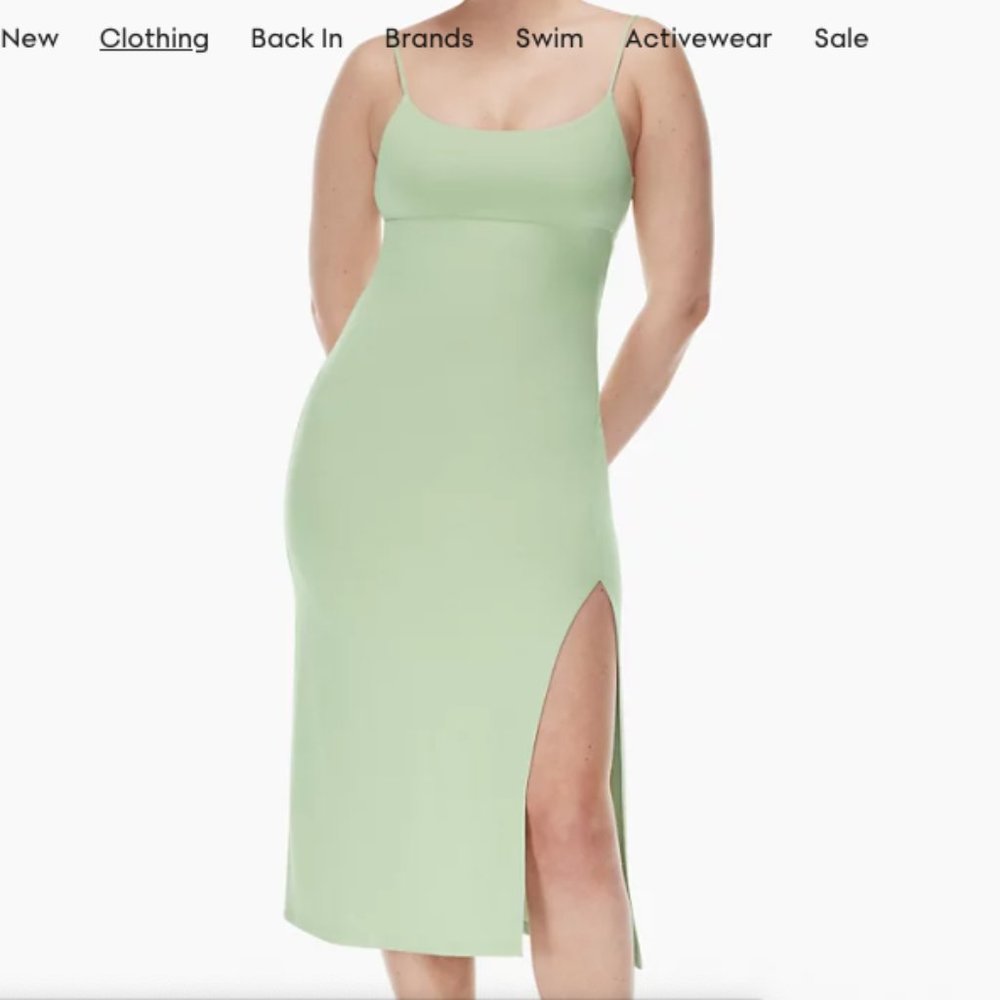 Aritzia Dreamweaver Dress